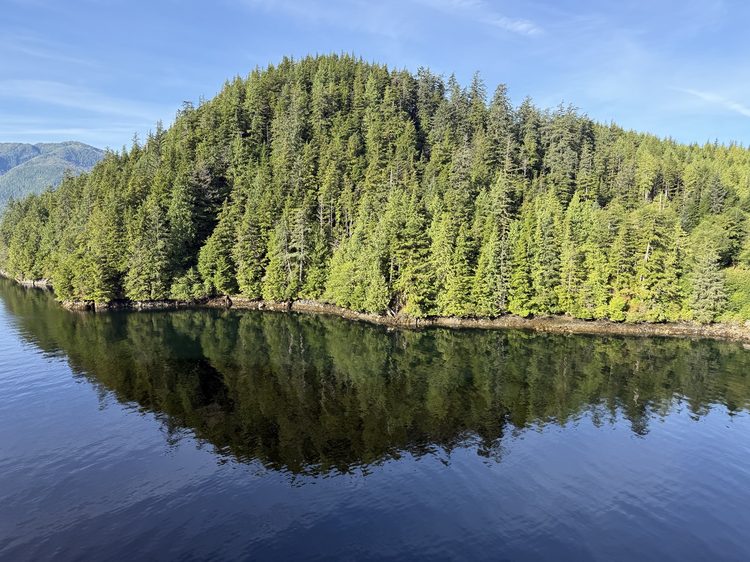 Forested shoreline reflected in calm water